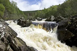 Blackwater: Rogie Falls at Blackwater River