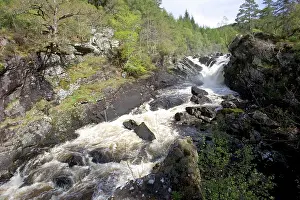 Blackwater: Rogie falls at Blackwater River