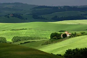 Dappled: Rolling agricultural farm fields and dappled