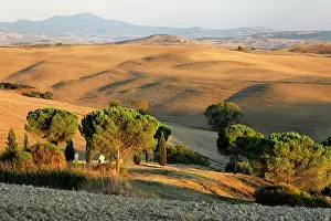 D Orcia: Rolling agricultural fields after the harvest