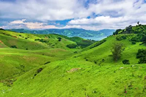Hemisphere: Rolling farmland on the Otago Peninsula, Dunedin