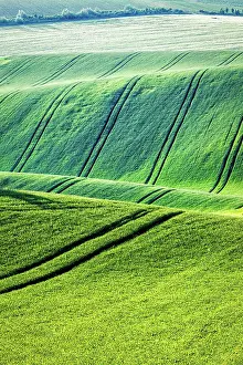 Moravia: Rolling landscape of green fields in South Moravia
