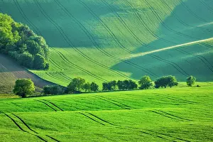 Moravia: Rolling summer landscape of Moravia, Czech Republic, Europe