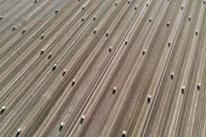 Unmanned: Rolls of straw lying on a harvested field, photograph