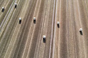 Unmanned: Rolls of straw lying on a harvested field, photograph