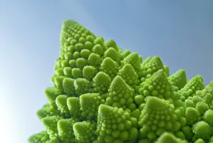 Pointed: Romanesco