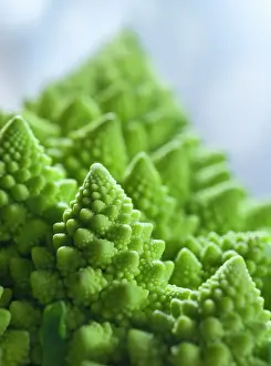Pointed: Romanesco