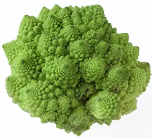 Cauliflower: Romanesco Broccoli / Roman Cauliflower