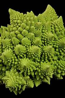 Cauliflower: Romanesco Cauliflower - Its structure is composed