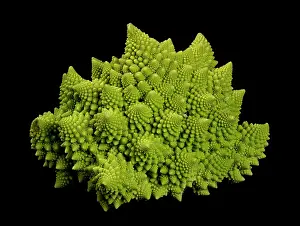 Cauliflower: Romanesco Cauliflower - Its structure is composed