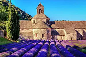 Notre: The Romanesque Cistercian Abbey of Notre Dame of