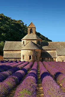 Cloister: The Romanesque Cistercian Abbey of Notre Dame of