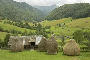 Transylvania: Romania, Brasov, Bran, Countryside landscape
