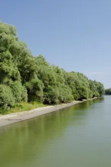 Negative: Romania, Dobrudgea region, Tulcea, Danube