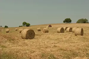 Transylvania: Romania, Sibiu, Hay Harvest