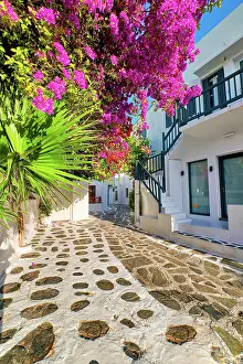 Houses: Romantic traditional narrow streets and beautiful