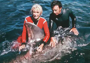 Carcharias: Ron and Valerie Taylor - Taking the temperature