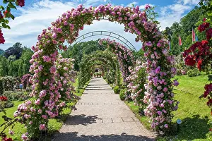 Arches: Rose arches in the Rose Garden, Rosenneuheitengarten