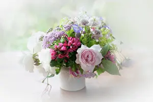 Combinations: Rose, Escallonia. Yarrow and Astrantia, bunch of cottage gar