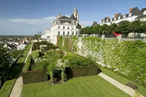 Topiary: Rose garden of the bishop's terraces in Blois, France