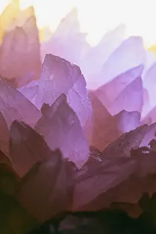 Mystery: Rose Quartz
