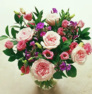 Lisianthus: Rose
