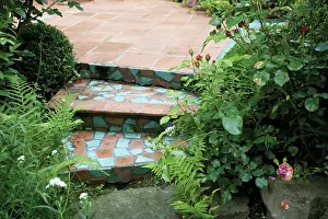 Steps: Rose