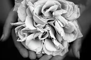 Nurturing: Rose