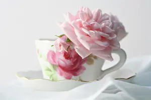 Exquisite: Rose