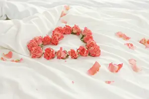 Opulent: Rose