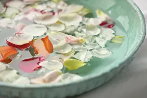 Opulent: Rose
