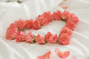 Cooperation: Rose