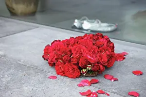 Opulent: Rose