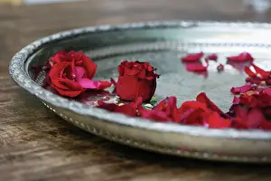 Tray: Rose