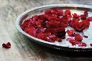 Tray: Rose