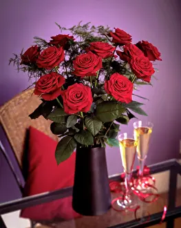 Favourite: Rose, Rosa Grand Prix, Classic dozen deep red