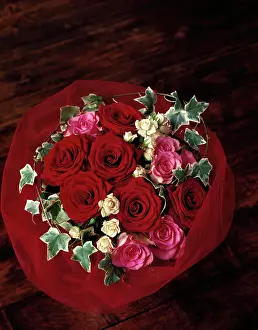 Toned: Rose, Rosa Passion, Overhead view of a bouquet