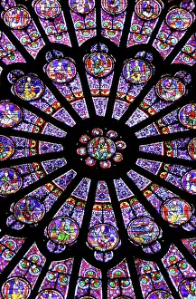 Stained: A rose window in Notre Dame cathedral