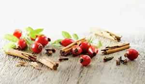 Canina: Rosehip, Rosa canina. Several hips arranged with