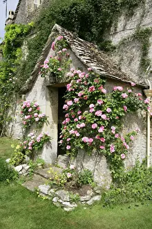 Doorway: Roses around a doorway of a farm house in the cotswold at th