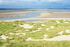 Budle: Ross Sands - view from coast at Budle Bay, northwards