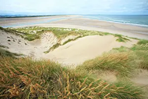 Budle: Ross Sands - view from coast at Budle Bay, northwards