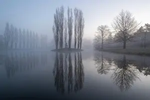 Dessau: Rosseau Island in the morning mist, Dessau-Worlitzer