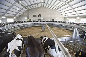 Infinite: Rotative milking room in Riverdale California USA