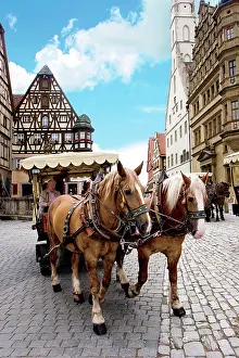 Drawn: Rothenburg ob der Tauber, Germany, Horse