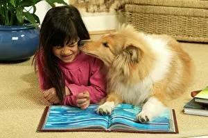 Reading: Rough Collie Dog
