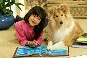 Reading: Rough Collie Dog