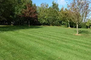 Cutting: Lawn