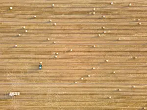 Trailer: Round bales lie on a freshly mown grain field ne