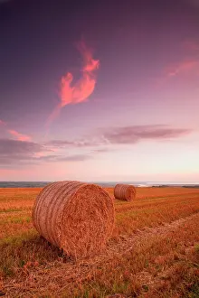 Stubble: Round bales of straw in a stubble field at sunset